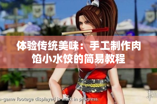 體驗(yàn)傳統(tǒng)美味：手工制作肉餡小水餃的簡易教程