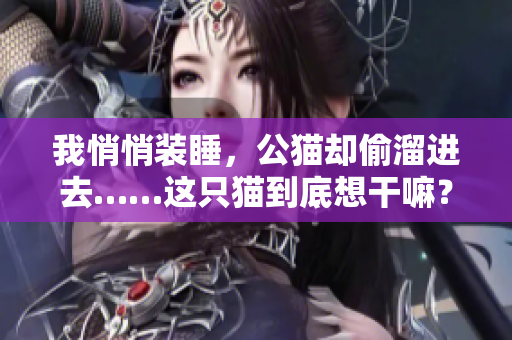 我悄悄裝睡，公貓卻偷溜進(jìn)去……這只貓到底想干嘛？