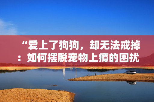 “愛上了狗狗，卻無(wú)法戒掉：如何擺脫寵物上癮的困擾？”