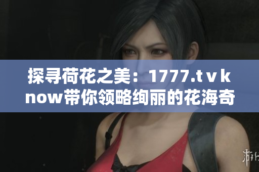 探尋荷花之美：1777.tⅴknow帶你領略絢麗的花海奇觀
