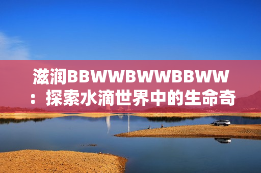 滋潤BBWWBWWBBWW：探索水滴世界中的生命奇跡