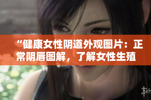 “健康女性陰道外觀圖片：正常陰唇圖解，了解女性生殖器健康標準”