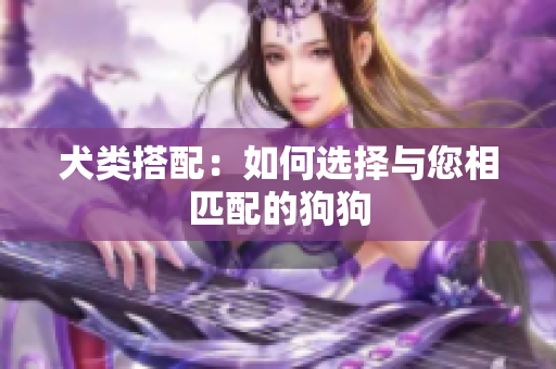 犬類搭配：如何選擇與您相匹配的狗狗