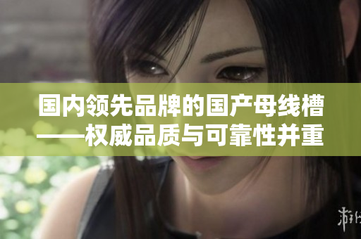 國內(nèi)領(lǐng)先品牌的國產(chǎn)母線槽——權(quán)威品質(zhì)與可靠性并重