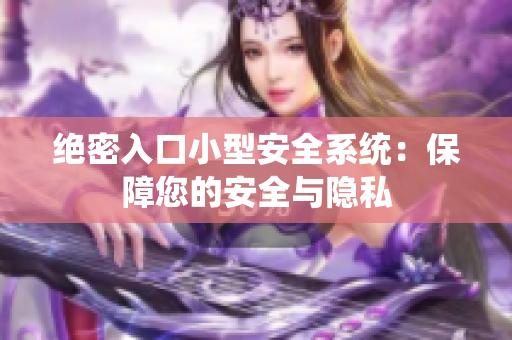 絕密入口小型安全系統(tǒng)：保障您的安全與隱私
