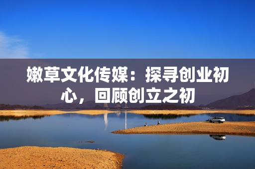 嫩草文化傳媒：探尋創(chuàng)業(yè)初心，回顧創(chuàng)立之初