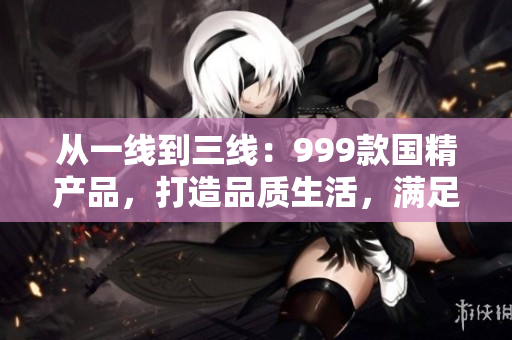 從一線到三線：999款國精產(chǎn)品，打造品質(zhì)生活，滿足不同需求