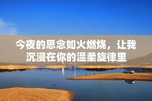 今夜的思念如火燃燒，讓我沉浸在你的溫柔旋律里