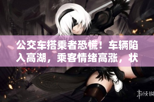 公交車搭乘者恐慌！車輛陷入高湖，乘客情緒高漲，狀況何如？