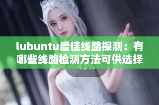 lubuntu最佳線路探測(cè)：有哪些線路檢測(cè)方法可供選擇？