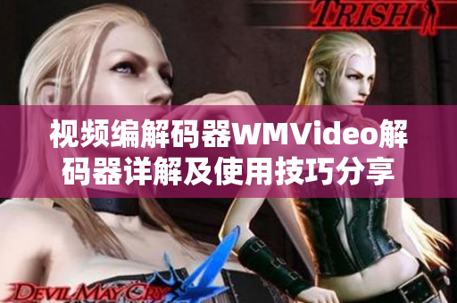 視頻編解碼器WMVideo解碼器詳解及使用技巧分享