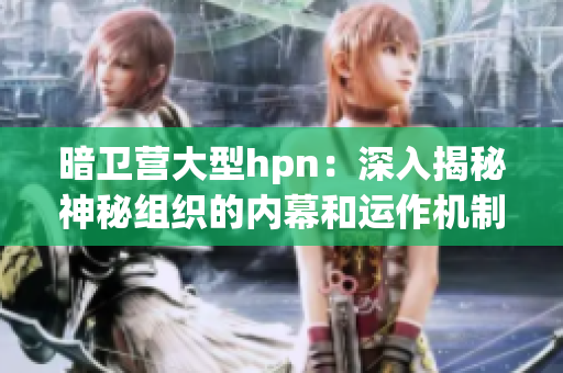 暗衛(wèi)營(yíng)大型hpn：深入揭秘神秘組織的內(nèi)幕和運(yùn)作機(jī)制