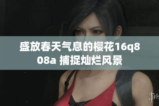 盛放春天氣息的櫻花16q808a 捕捉燦爛風(fēng)景