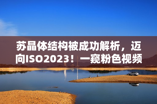 蘇晶體結(jié)構(gòu)被成功解析，邁向ISO2023！一窺粉色視頻中的奇妙結(jié)晶世界