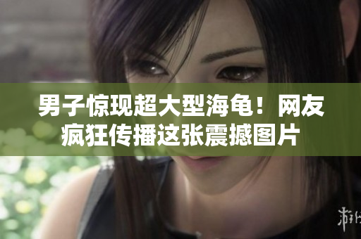 男子驚現(xiàn)超大型海龜！網(wǎng)友瘋狂傳播這張震撼圖片