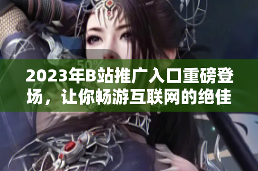 2023年B站推廣入口重磅登場，讓你暢游互聯(lián)網(wǎng)的絕佳通道
