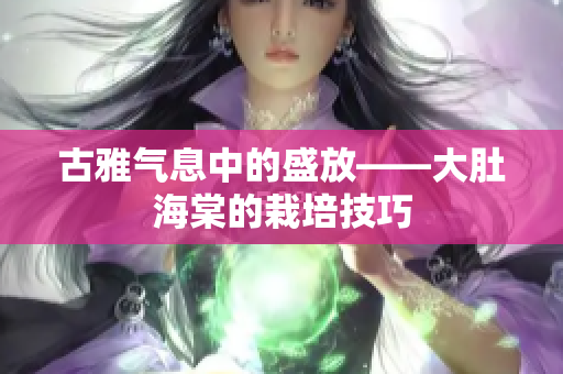 古雅氣息中的盛放——大肚海棠的栽培技巧