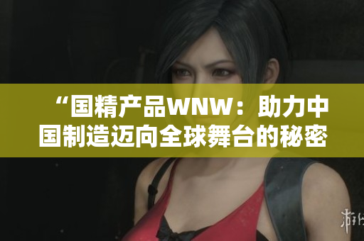“國精產(chǎn)品WNW：助力中國制造邁向全球舞臺的秘密武器”