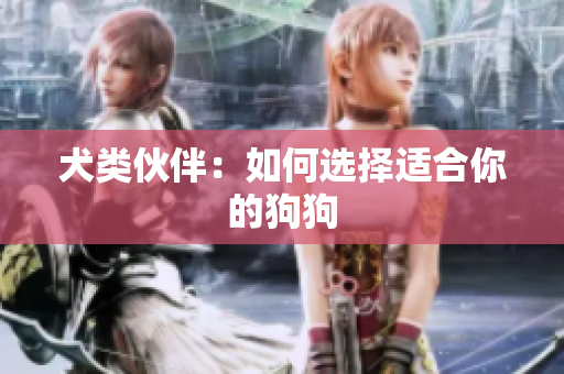 犬類伙伴：如何選擇適合你的狗狗