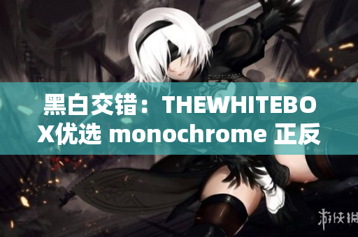 黑白交錯(cuò)：THEWHITEBOX優(yōu)選 monochrome 正反兩色