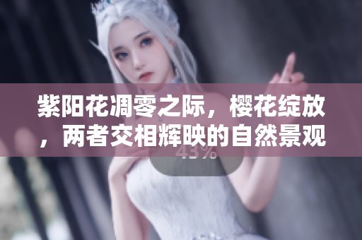 紫陽花凋零之際，櫻花綻放，兩者交相輝映的自然景觀