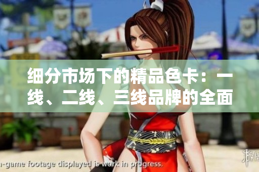 細分市場下的精品色卡：一線、二線、三線品牌的全面比較