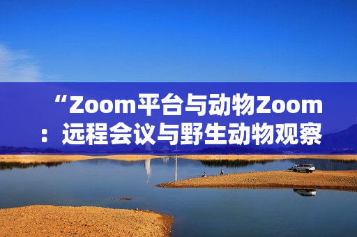 “Zoom平臺與動物Zoom：遠程會議與野生動物觀察的雙重體驗”