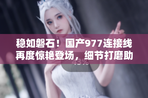 穩(wěn)如磐石！國(guó)產(chǎn)977連接線再度驚艷登場(chǎng)，細(xì)節(jié)打磨助力品質(zhì)飆升