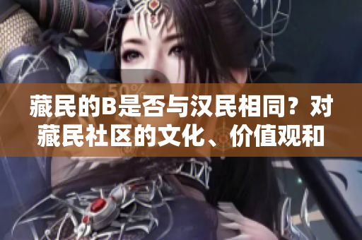藏民的B是否與漢民相同？對藏民社區(qū)的文化、價值觀和生活方式進行比較