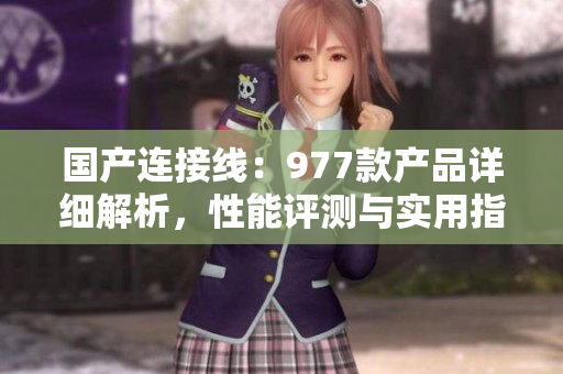 國產連接線：977款產品詳細解析，性能評測與實用指南
