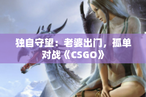 獨自守望：老婆出門，孤單對戰(zhàn)《CSGO》