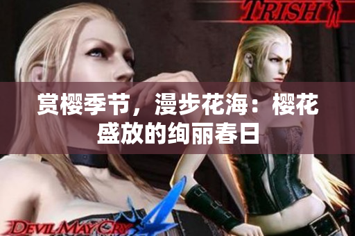 賞櫻季節(jié)，漫步花海：櫻花盛放的絢麗春日