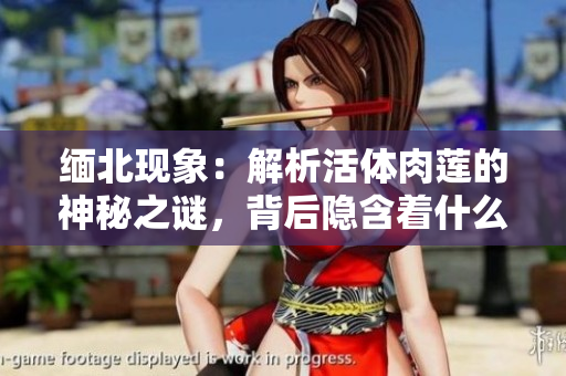 緬北現(xiàn)象：解析活體肉蓮的神秘之謎，背后隱含著什么？