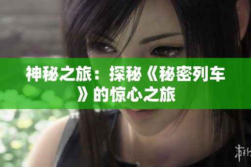 神秘之旅：探秘《秘密列車》的驚心之旅