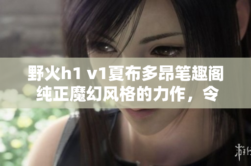 野火h1 v1夏布多昂筆趣閣 純正魔幻風(fēng)格的力作，令人沉迷的奇幻世界