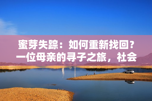 蜜芽失蹤：如何重新找回？一位母親的尋子之旅，社會(huì)力量齊心協(xié)力相助