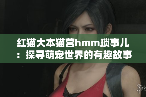 紅貓大本貓營(yíng)hmm瑣事兒：探尋萌寵世界的有趣故事
