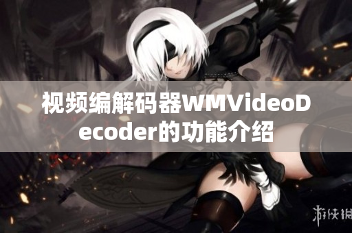 視頻編解碼器WMVideoDecoder的功能介紹