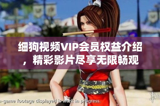 細(xì)狗視頻VIP會(huì)員權(quán)益介紹，精彩影片盡享無(wú)限暢觀