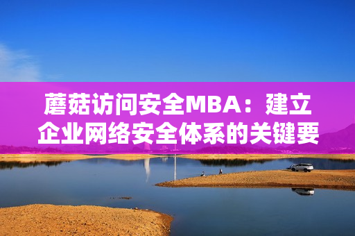蘑菇訪問安全MBA：建立企業(yè)網(wǎng)絡(luò)安全體系的關(guān)鍵要素