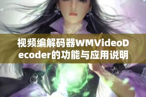 視頻編解碼器WMVideoDecoder的功能與應(yīng)用說(shuō)明