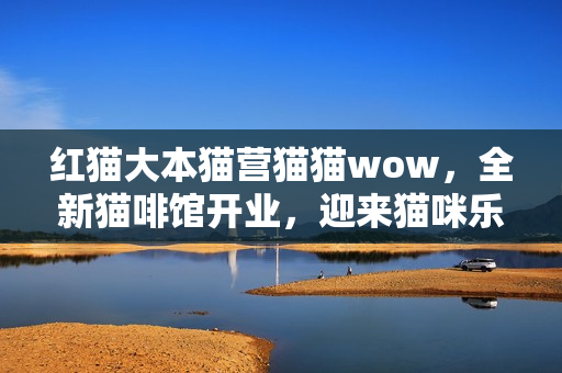 紅貓大本貓營貓貓wow，全新貓啡館開業(yè)，迎來貓咪樂園