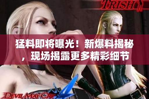 猛料即將曝光！新爆料揭秘，現(xiàn)場揭露更多精彩細節(jié)