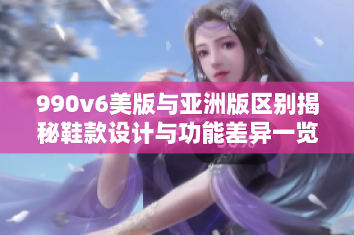 990v6美版與亞洲版區(qū)別揭秘鞋款設(shè)計(jì)與功能差異一覽