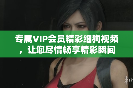 專屬VIP會員精彩細(xì)狗視頻，讓您盡情暢享精彩瞬間