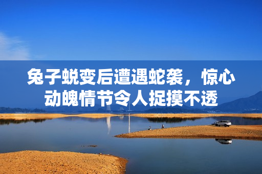 兔子蛻變后遭遇蛇襲，驚心動(dòng)魄情節(jié)令人捉摸不透