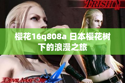 櫻花16q808a 日本櫻花樹下的浪漫之旅