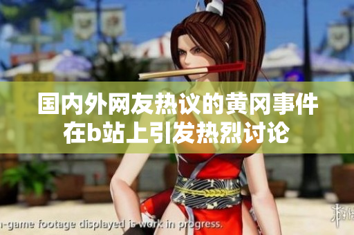 國內(nèi)外網(wǎng)友熱議的黃岡事件在b站上引發(fā)熱烈討論