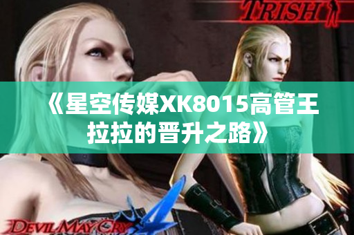 《星空傳媒XK8015高管王拉拉的晉升之路》