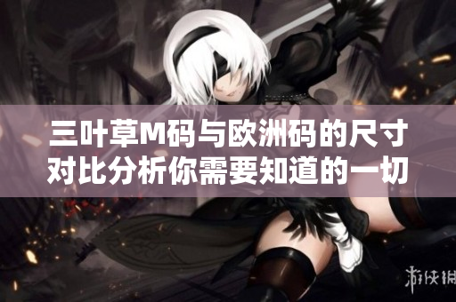 三葉草M碼與歐洲碼的尺寸對比分析你需要知道的一切